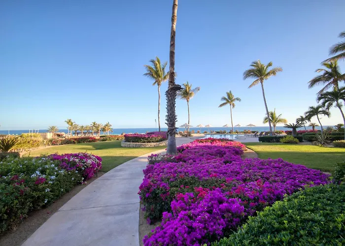 Deluxe Junior Ocean View - Casa Del Mar Cabo San Lucas