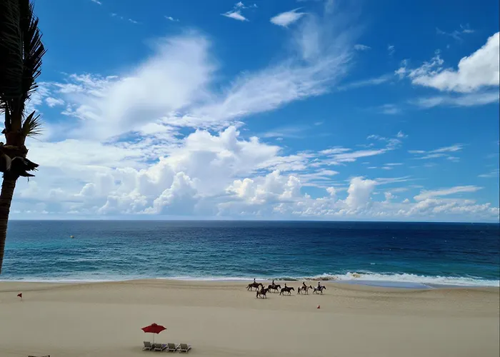 Deluxe Junior Ocean View - Casa Del Mar Appartement Cabo San Lucas